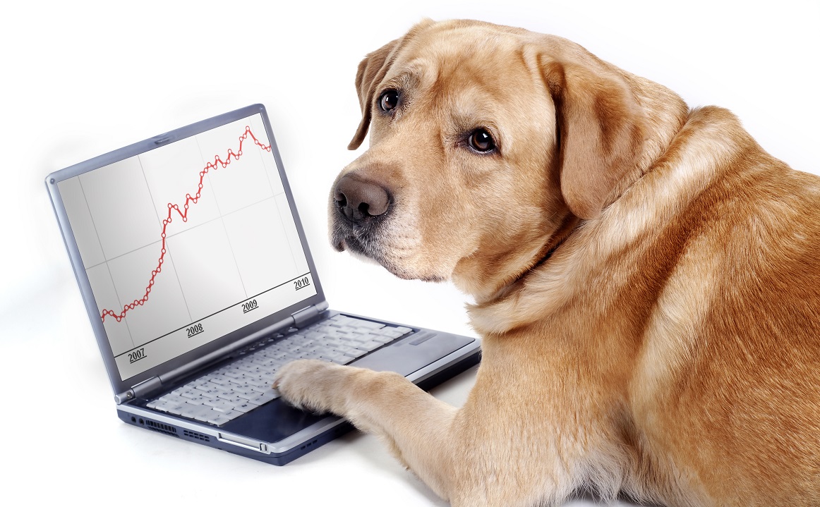 ZettaPet Software para PETSHOP